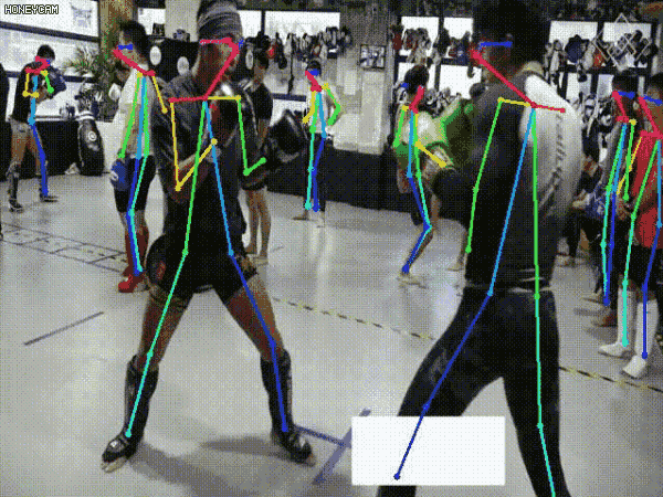 Fight Detection